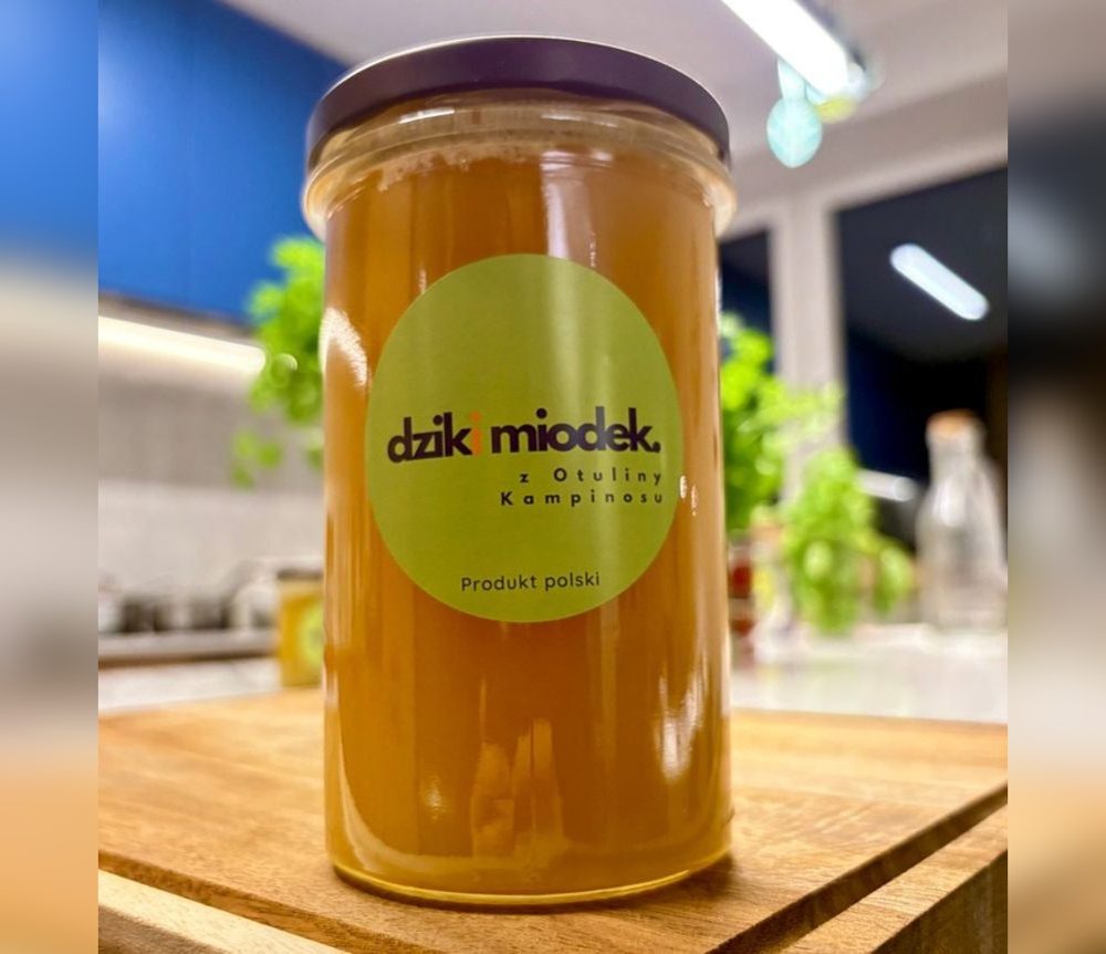 Miód nektarowo-spadziowy z wierzbą — duży słoik
